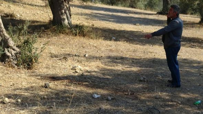 Zeytinlikte vahşet: Başı kesilmiş cesed bulundu