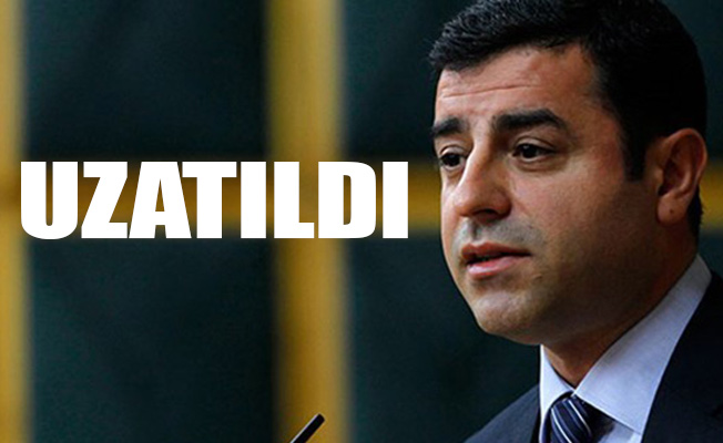 AİHM’den Demirtaş davasında yeni karar