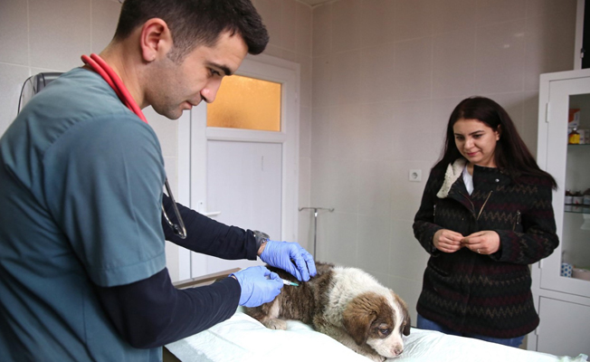 Can dostları için kapasite arttırıldı