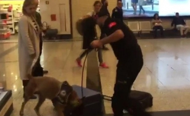 Avusturya'dan sonra Almanya'dan gelen yolculara da köpekli arama