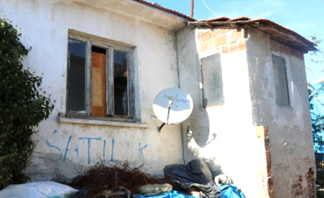 Silivri'de vahşet: Çiftçi, domuz bağıyla...