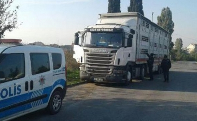 Uyuyan TIR şoförünün pantolonu çalındı