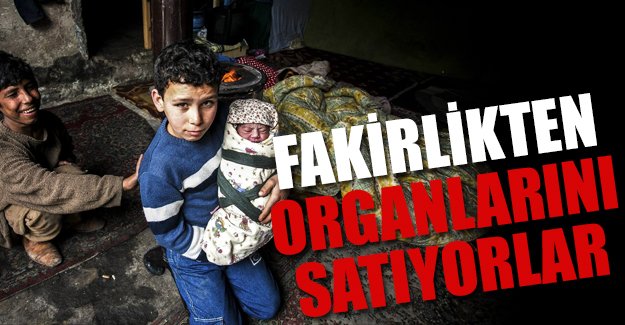 Iraklılar yoksulluktan organlarını satıyor