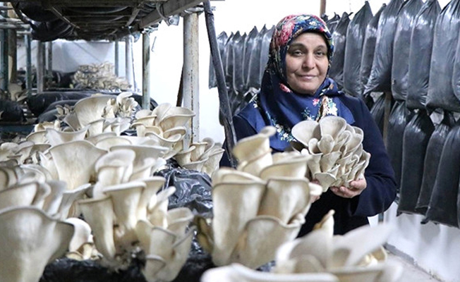 Hobi olarak başladı, şimdi siparişlere yetişemiyor!