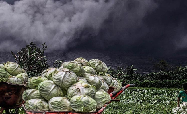 Sinabung Yanardağı çevre köylere zarar vermeye başladı