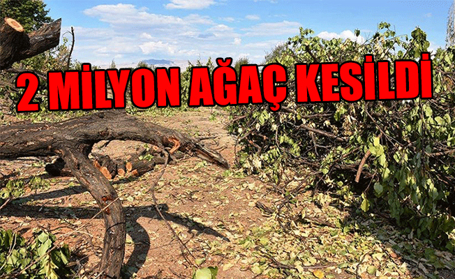 Türkiye artık kayısı bile üretemeyecek!