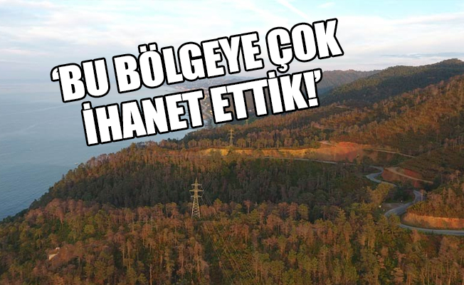 Çamburnu ormanından kötü haber!