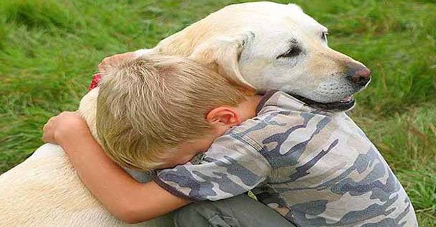 Köpeklerde saldırganlığın genetik haritası çıkarıldı