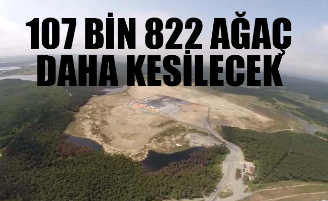 Üçüncü Havalimanı inşaatında maden için yine ağaç katliamı