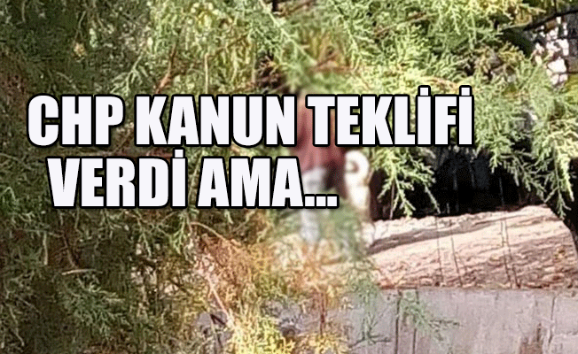 Çorum'da iğrenç olay: Köpeğe tecavüz ederken yakalandı!