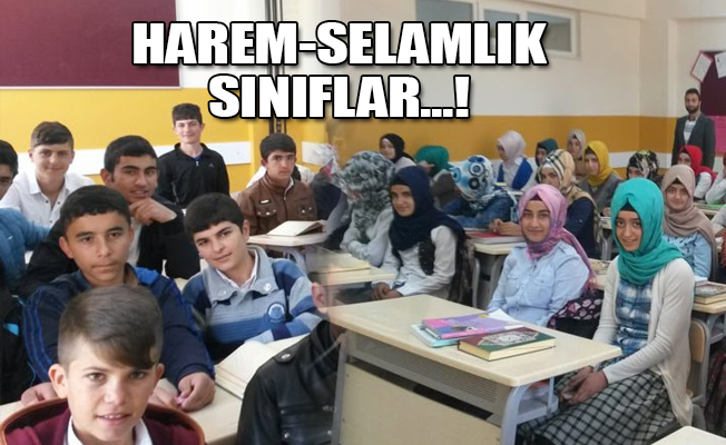 Bakanlık göz yumdu: Skandal görüntüler!