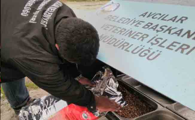 Kışın sevimli dostlar aç kalmayacak