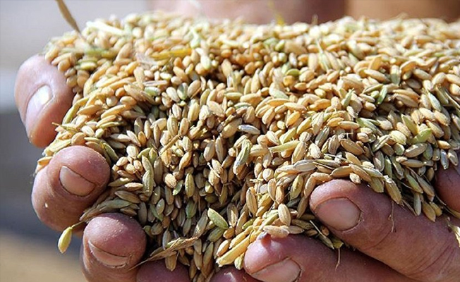 50.000 ton pirinç alımı için uluslararası ihale