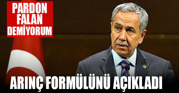 Arınç'tan dokunulmazlık formülü önerisi