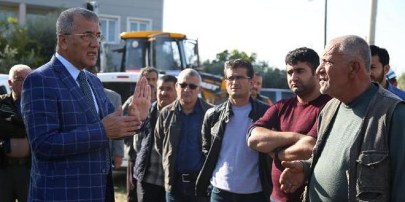 Zeytin ağaçlarını kestirtmediler