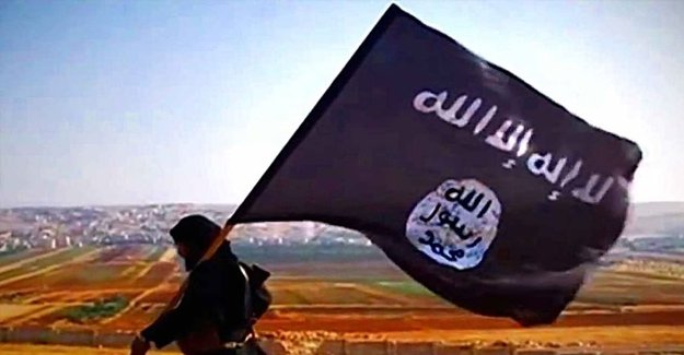 Almanya: IŞİD'e katılanların dörtte biri Türk