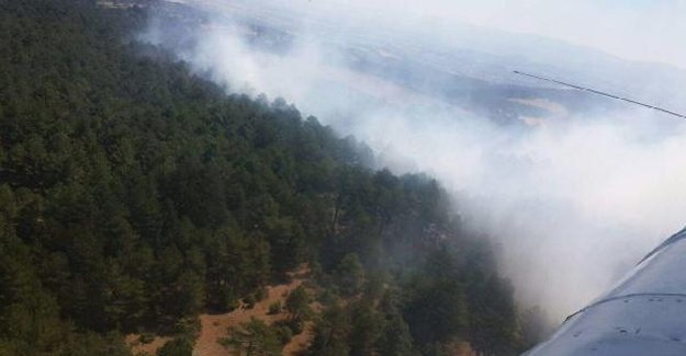 Çanakkale'de orman yangını