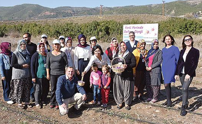 ‘Kırmızı altın’a kadın eli değdi
