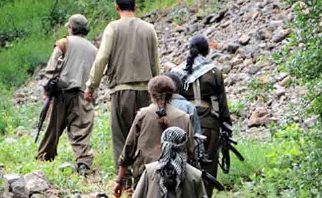 300 bin lira ödüllü PKK'lı öldürüldü