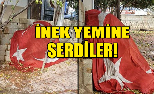 Bayrağa skandal saygısızlık!