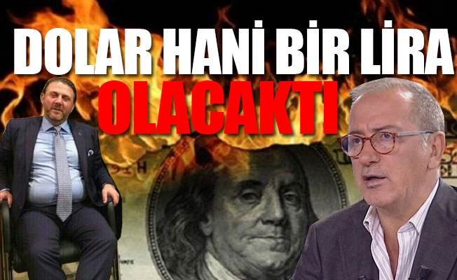 Fatih Altaylı'dan Erdoğan'ın danışmanı 'jöleli'ye dolar hatırlatması