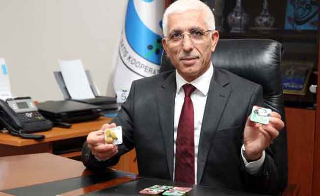 Marmarabirlik zeytini tane tane satacak