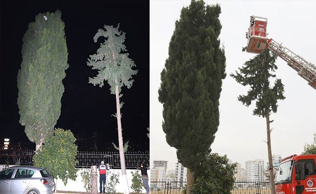 İtfaiyeden ‘yastık operasyonu’