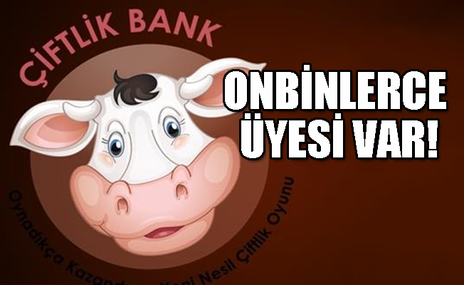 Çiftlik Bank'ın bağlı olduğu şirket mercek altında!