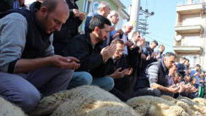 Aynı mahalleden aynı isimde 4 kişi öldü, mahalleli kurban kesti