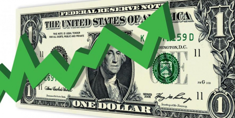 Dolar rekor kırdı, cepte yangın çıktı