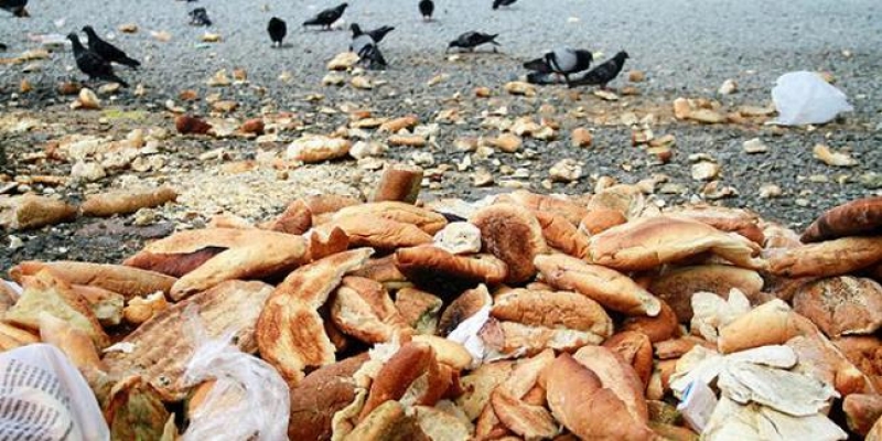 'Çöpe atılan 500 bin ton ekmekle 80 devlet hastanesi yapabiliriz'