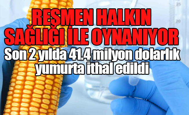 Ağustos 2017’de 36 genetiği değiştirilmiş ürünün ithalatına izin verildi
