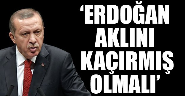 Die Welt: Erdoğan aklını kaçırmış olmalı