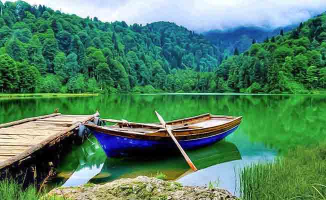 Artvin Artvin olalı böyle araştırma görmedi!