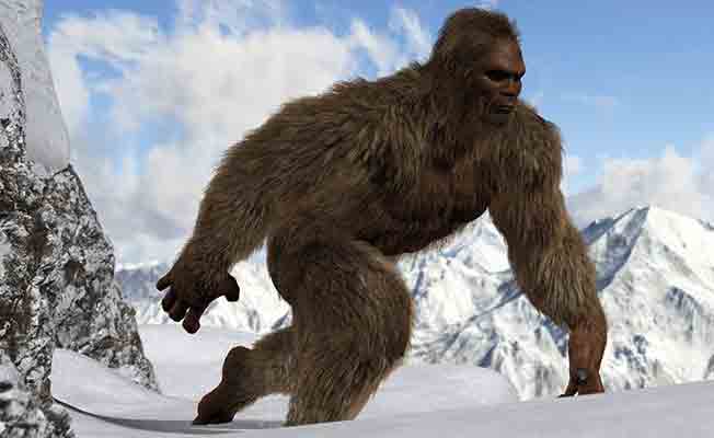 Yeti’ye ait olduğu düşünülen DNA numuneleri incelendi