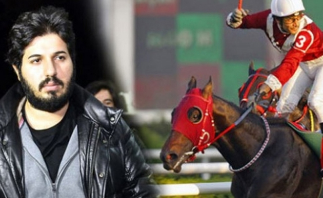 Reza Zarrab'ın atları, Türkiye'de milyonlarca lira kazandı