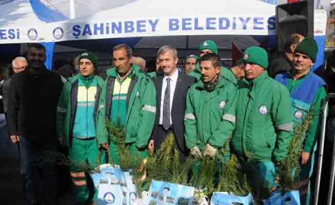 Çam fidanı için metlerce kuyruk oluştu