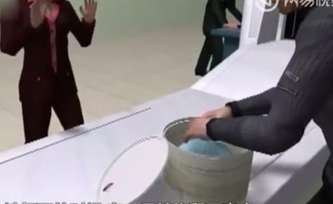 Havaalanında el bagajından 200 hamam böceği çıktı