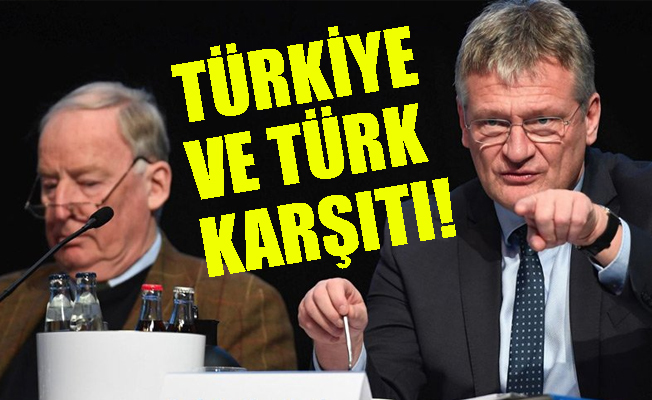 Türk bakana Anadolu'ya dön diyen siyasetçi eşbaşkan oldu!