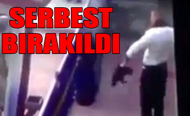 Yavru kediye işkence yapan cani için karar...