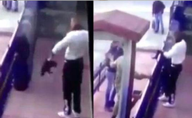 Erzincan Orduevi'nde, kediye işkence eden askeri serbest bırakan hakim, verdiği karardan rahatsız oldu