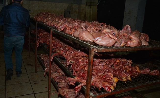 Rezalet! Bu tavukları lokantalara satıyorlardı