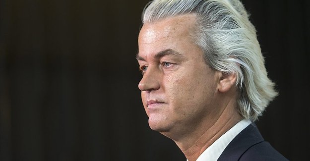 Hollanda'da ırkçı lider camileri kapatmayı vaat ediyor