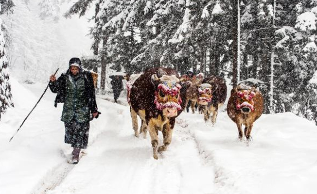 Doğu Karadeniz'de kar etkisini gösterdi