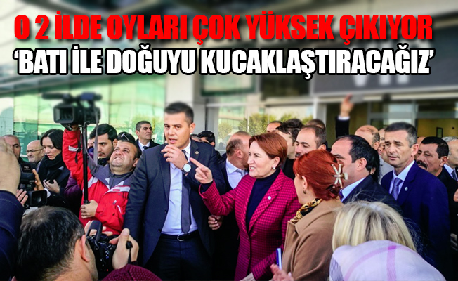 Meral Akşener'den Güneydoğu çıkarması