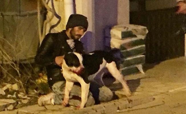 Köpekten korktuklarını söyleyip köpeği ve sahibini bıçakladılar