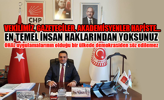 CHP'li Karadeniz: Türkiye’de insan haklarına OHAL ile darbe vuruldu