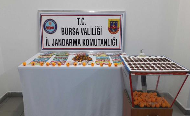 Ağaçları koruma derneğinde tombala şoku