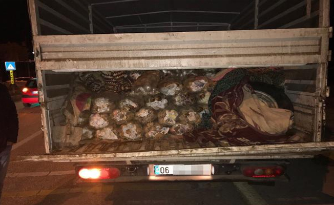Patates çuvallarının içine saklanmış 17 bin paket kaçak sigara ele geçirildi