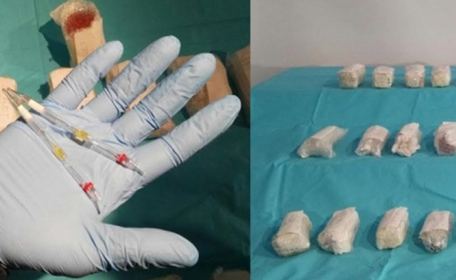 İstanbul’da ‘kobra zehiri’ operasyonu; rekor sayıda ele geçirildi